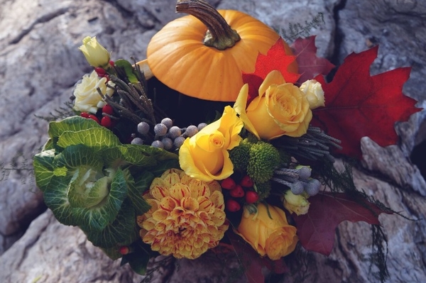 Avramenko floristic workshop