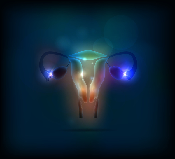 Пять фактов о яичниках, которые должна знать каждая