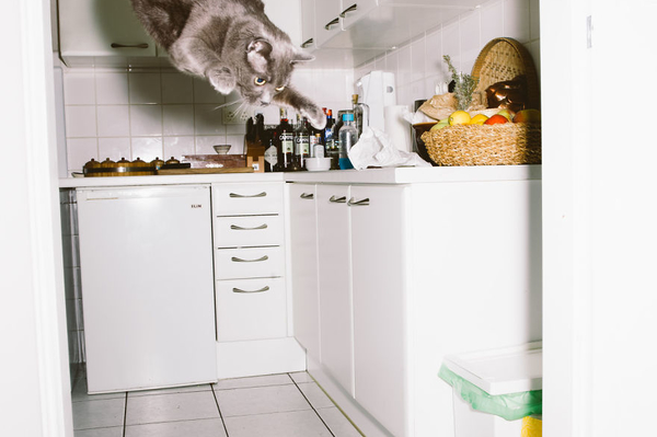 Daniel Gebhart de Koekkoek