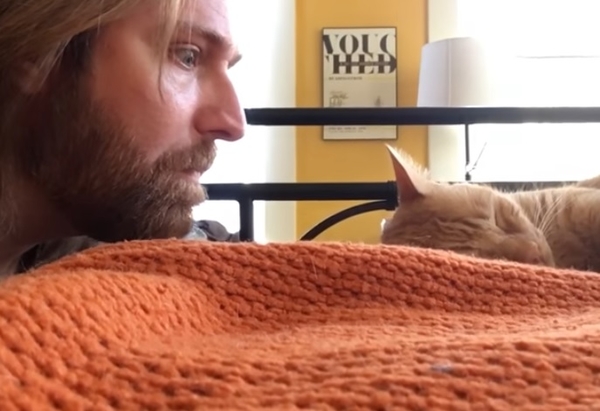 Реванш: как мужчина отомстил коту, который будит его рано утром