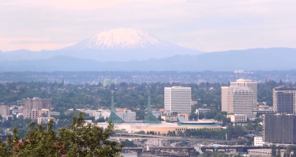 Необычная Америка: черешня за 400 гривен, честные копы и порнокинотеатр