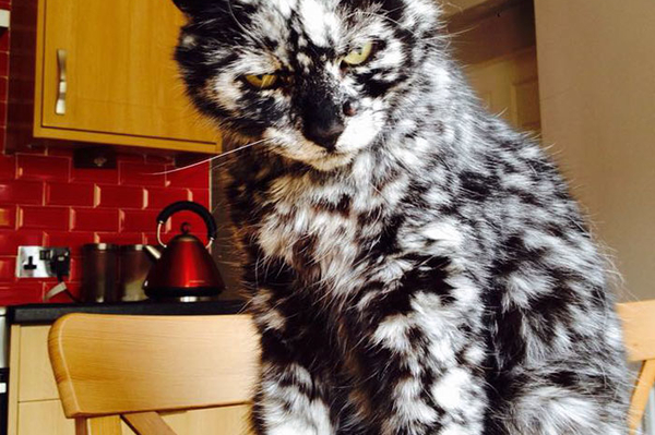 instagram.com/seniorscrappy