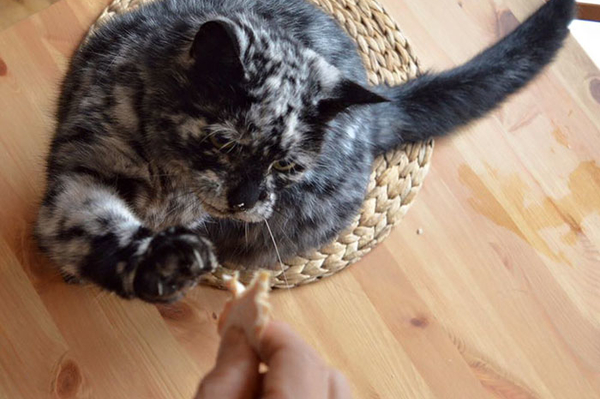 instagram.com/seniorscrappy