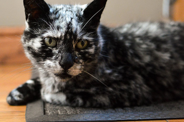 instagram.com/seniorscrappy