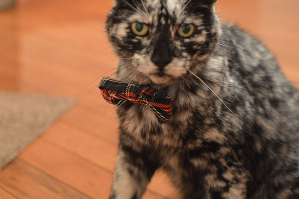 instagram.com/seniorscrappy