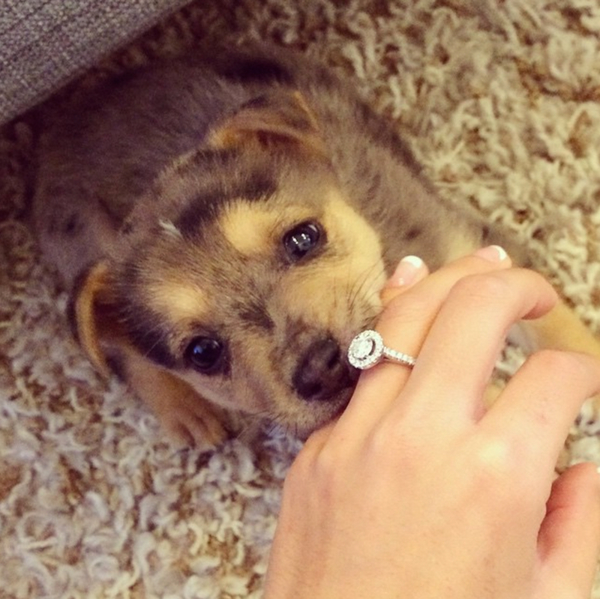 Когда нет сил молчать: лучшие способы рассказать о помолвке