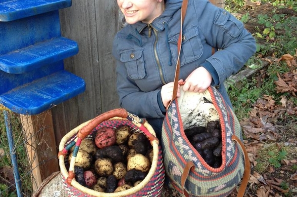 facebook.com/IvyannSchwan