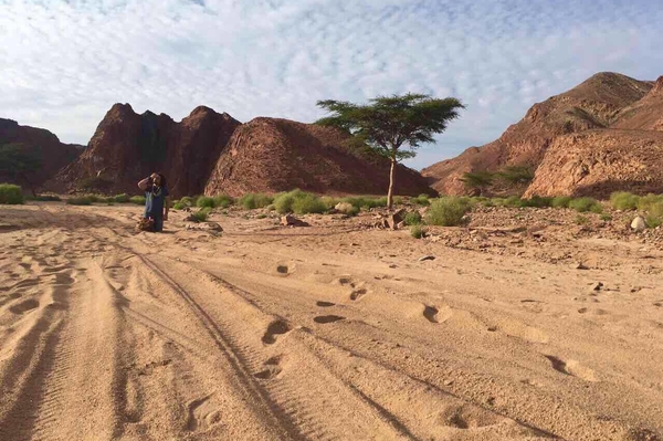 пресс-служба