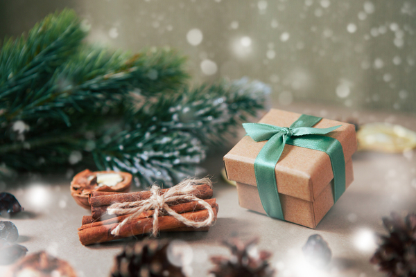 Новогоднее волшебство: детская сказка от Ivona (заключительная часть)