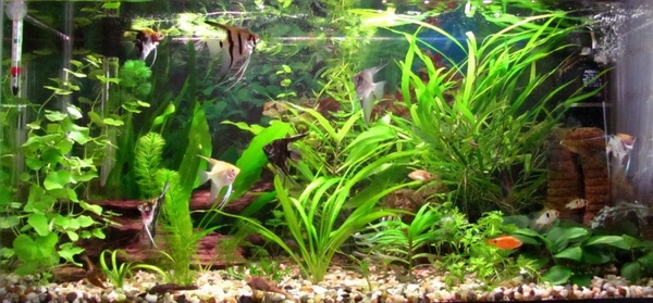 Куда пойти с ребенком на выходных: интересные мероприятия в Киеве