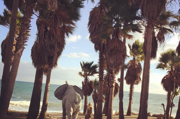 instagram.com/gorbachovaolga