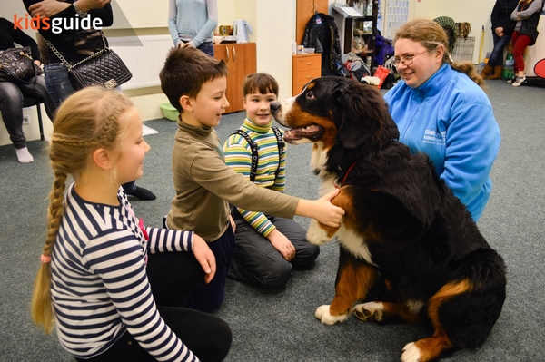 Куда пойти с ребенком на выходных: интересные мероприятия в Киеве