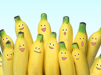 Пять видов пенисов и "инструкция к применению"