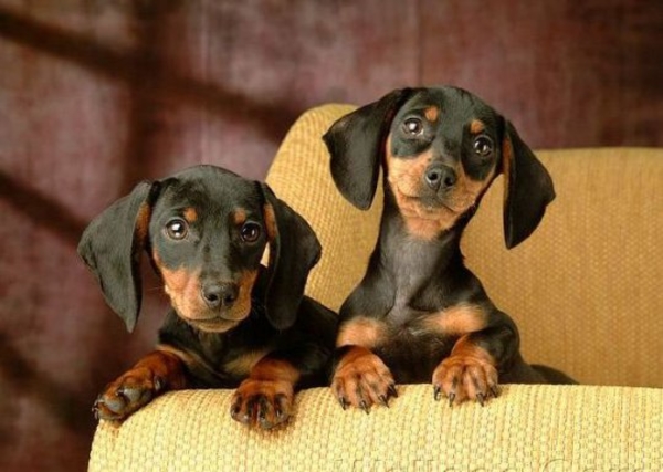 Куда пойти с ребенком на выходных: интересные мероприятия в Киеве