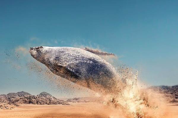 instagram.com/art.side