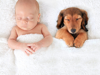 Собака – лучший друг ребенка: десять милых фото