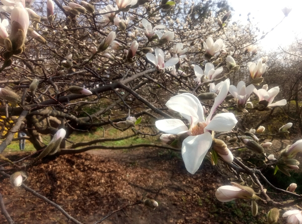 Куда пойти с ребенком на выходных: интересные мероприятия в Киеве