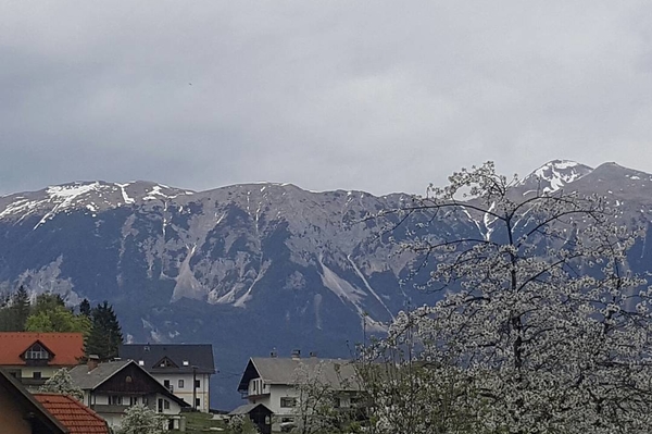 instagram.com/siriy_ua