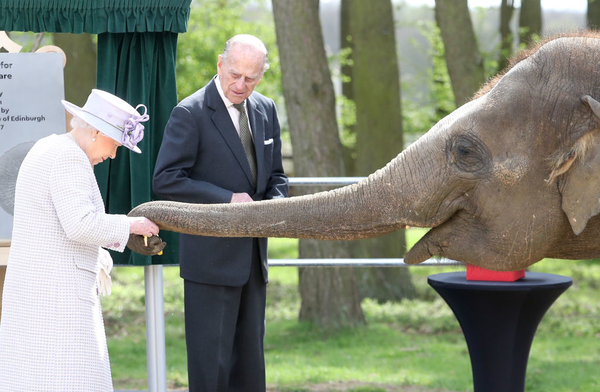 В Сеть попало трогательное видео с Елизаветой II, кормящей слона