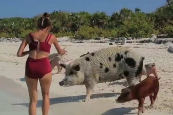 instagram.com/reginatodorenko