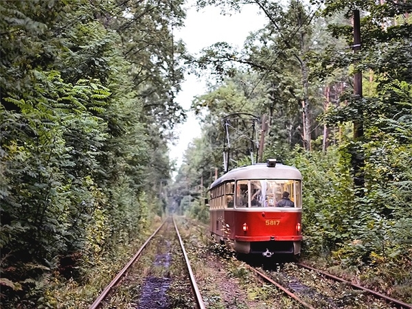 Куда пойти с ребенком на выходных: интересные мероприятия в Киеве