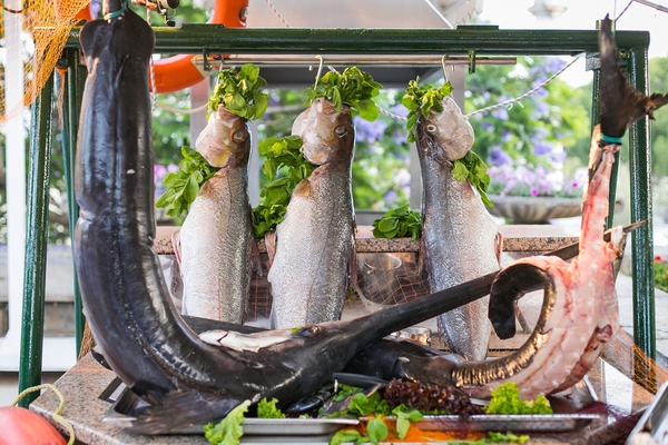 5 причин посетить отель XANADU RESORT HOTEL 5*High Class