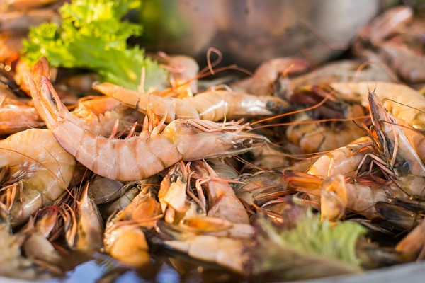 5 причин посетить отель XANADU RESORT HOTEL 5*High Class