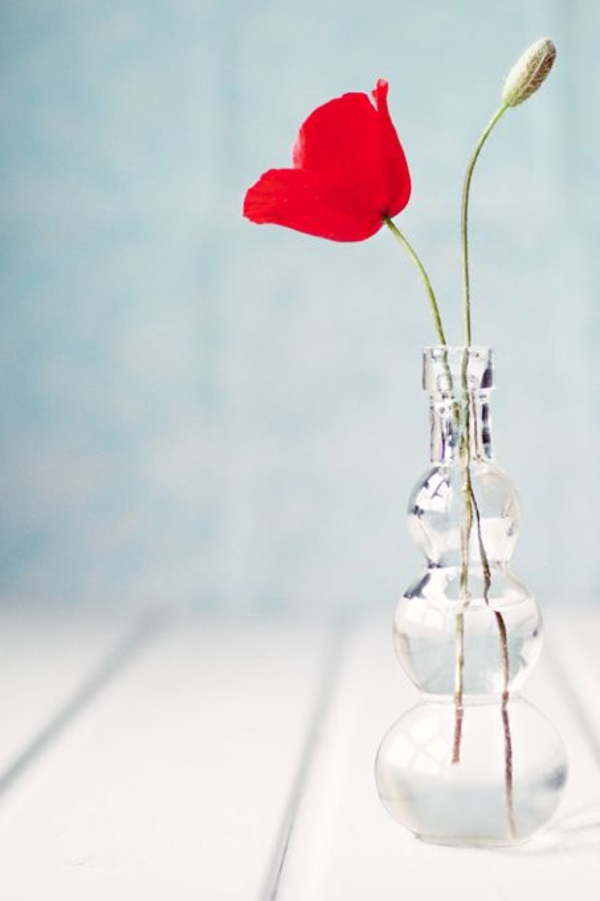 Небанальные открытки на 9 мая