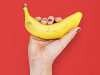 Что ты знаешь о пенисах: семь странных фактов, которые тебя удивят