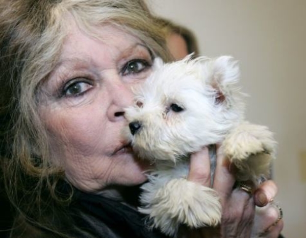 Брижит Бардо призвала французов отказать Эммануэлю Макрону в поддержке