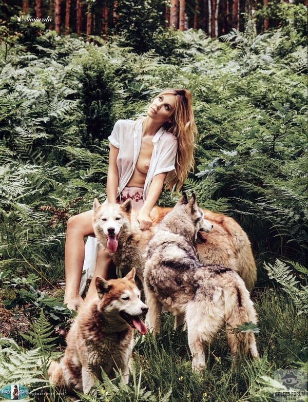 Евровидение 2017 Польша: сексуальные фото звезды Playboy Каси Мось