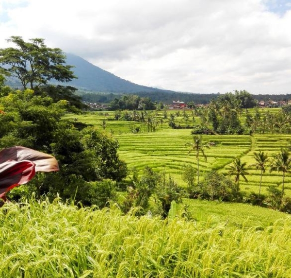 Удивительные острова: лучшие фото из инстаграма