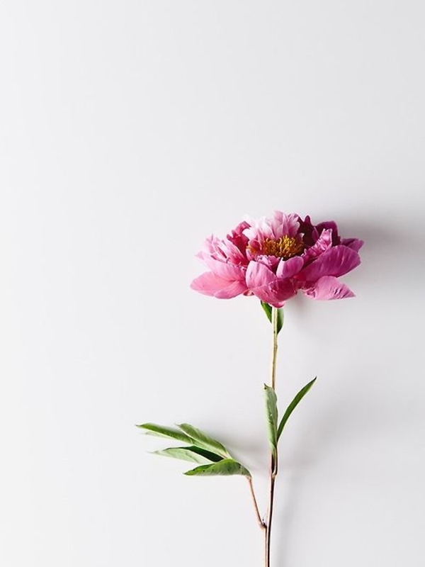 Лучшее за неделю: ТОП-7 статей, которые ты могла пропустить