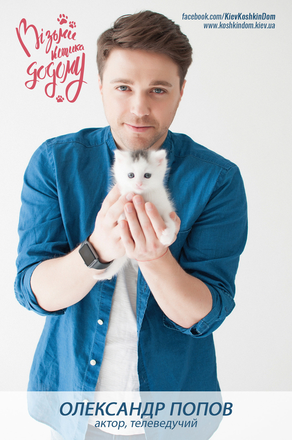 Украинские звезды снялись в благотворительном фотопроекте с котами