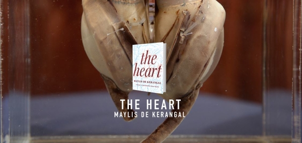 Что почитать: список книг от Билла Гейтса