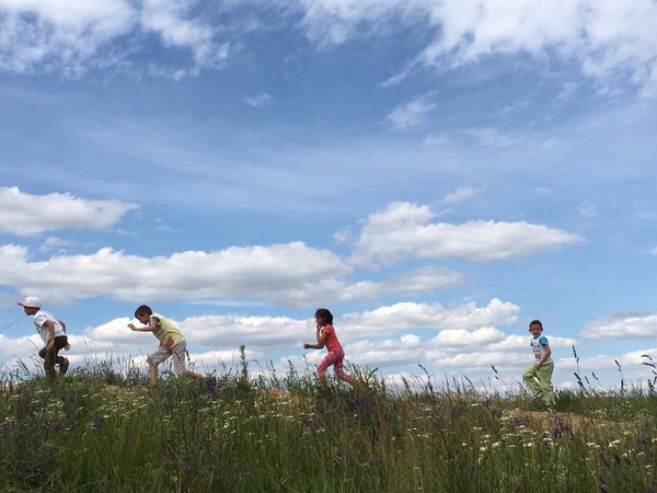 Экошкола по финскому образцу в Украине: новый подход к обучению