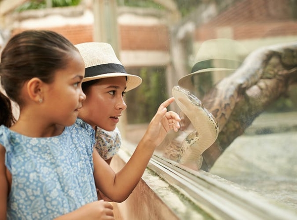 15 вещей, которые стоит сделать с детьми этим летом