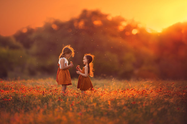 Lisa Holloway