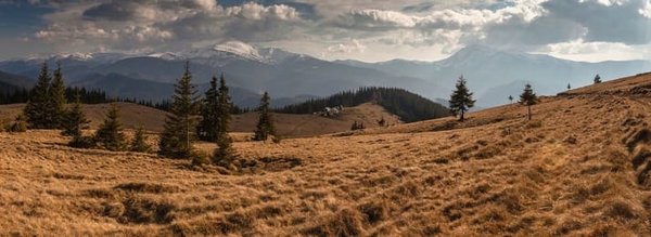 Американцы назвали 22 причины влюбиться в Украину