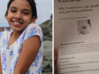 Девочка умилила соцсети докладом для родителей, почему им нужен кот