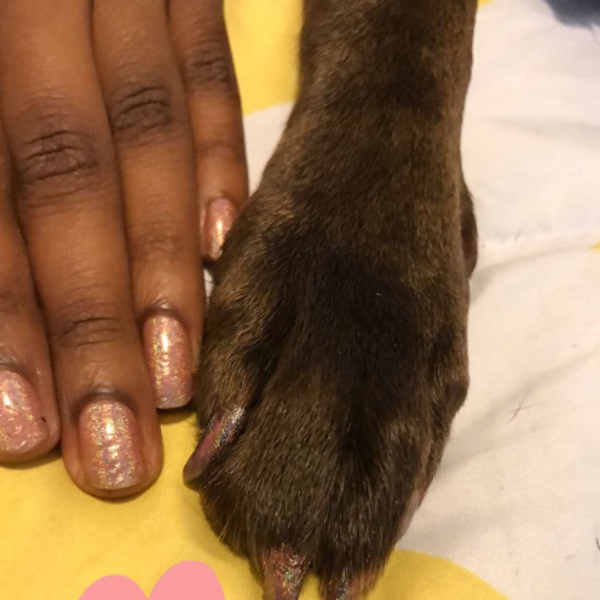 Когти и ногти: новый тренд покорил пользовательниц Twitter