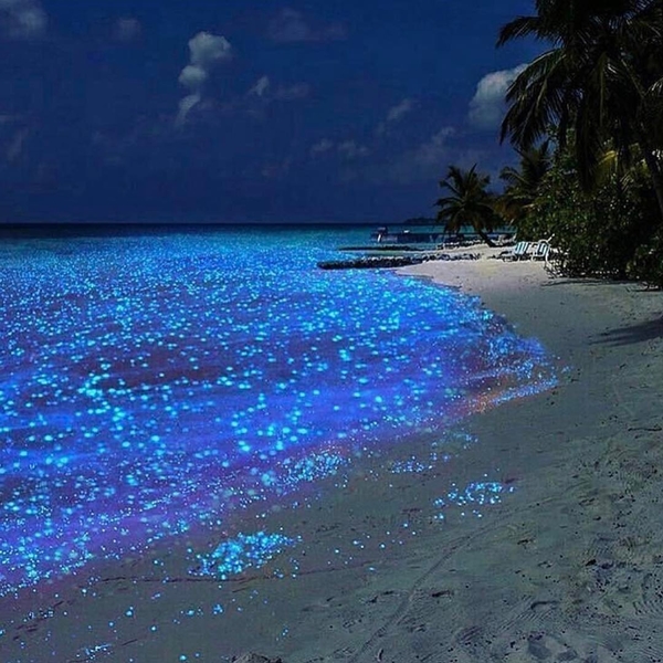 7 самых необычных пляжей мира