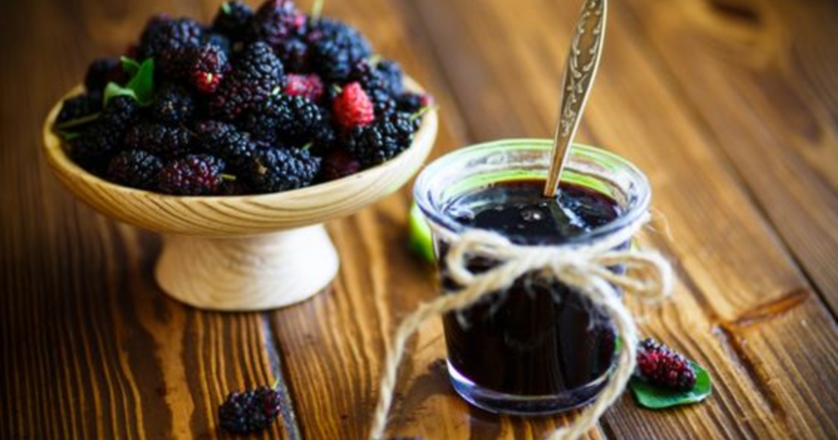 Вкусные рецепты из шелковицы, которые стоит попробовать - это легко приготовить и приятно удивит гостей 3 вкусных рецепта из шелковицы, которые стоит попробовать: кулинарные идеи