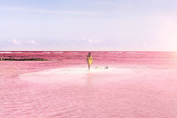 Instagram.com/marisahampe