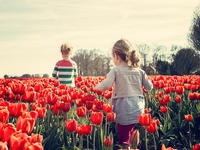 Семь признаков сильного характера ребенка