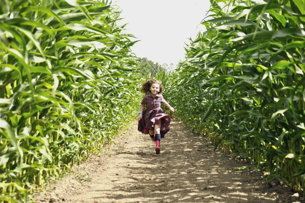 Куда пойти с ребенком на выходных: интересные события в Киеве