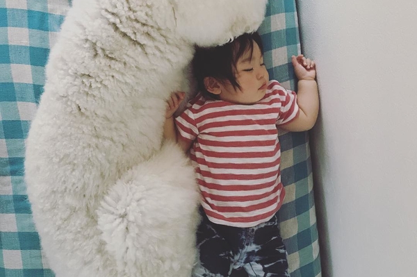 Instagram.com/tamanegi.qoo.riku