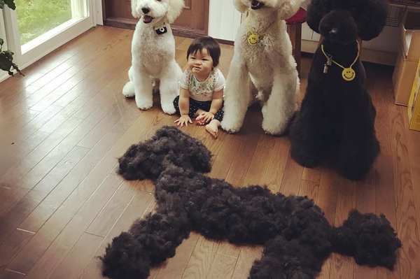 Instagram.com/tamanegi.qoo.riku