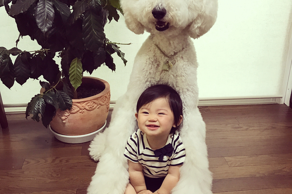 Instagram.com/tamanegi.qoo.riku