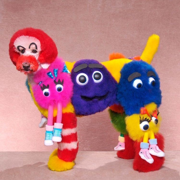 Креативный груминг: причудливые трансформации собак ради конкурсов